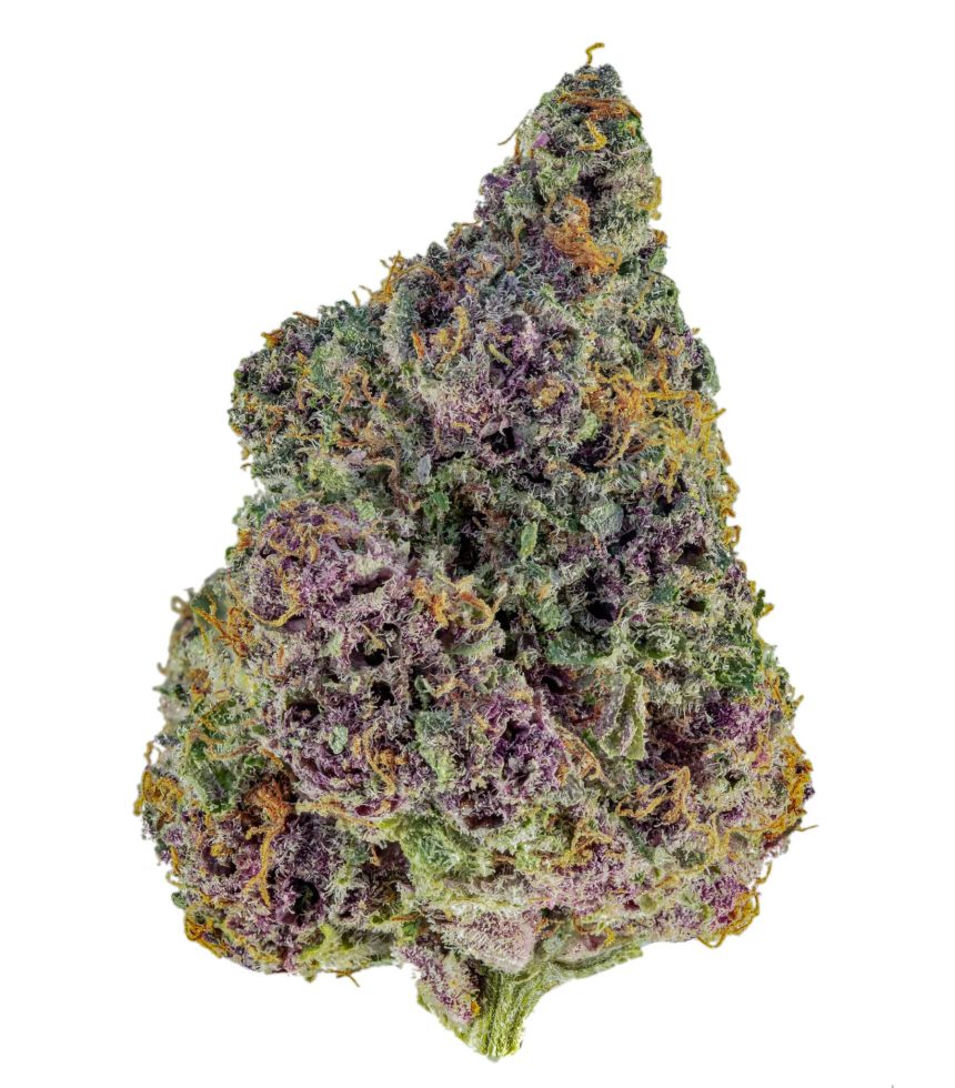 TROP-SLURP_BUD_2_WEB-2048x2048 (1)