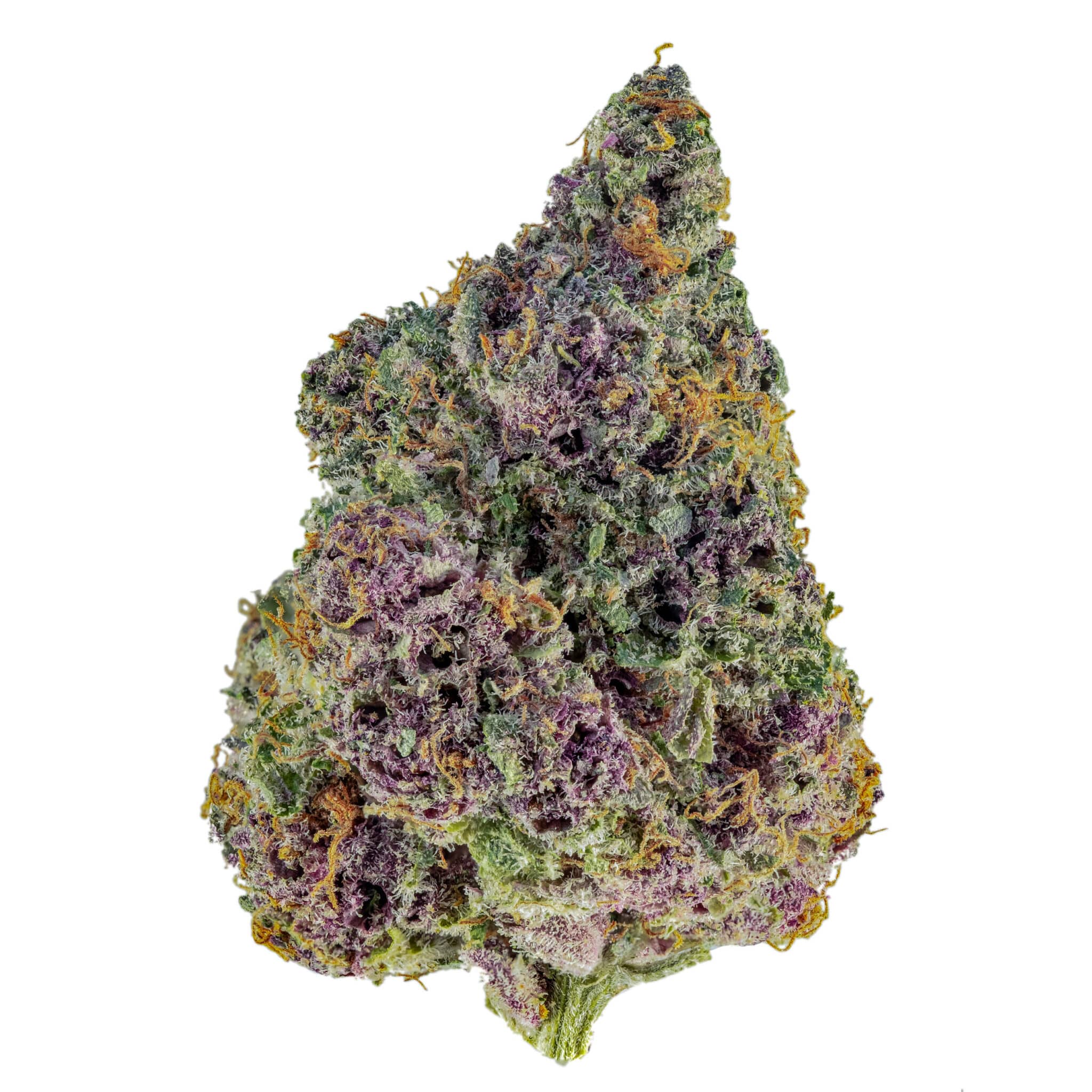 TROP-SLURP_BUD_2_WEB-2048x2048 (1)